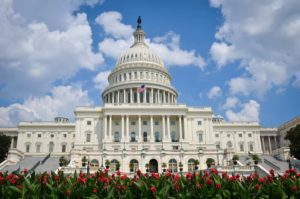 Joyas del Este Capitolio Washington DC