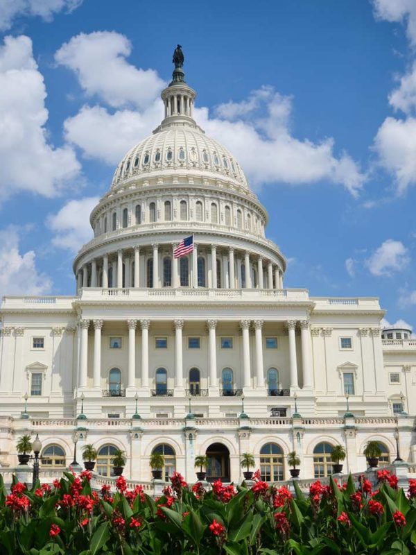 Joyas del Este Capitolio Washington DC