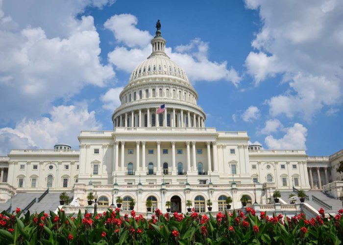 Joyas del Este Capitolio Washington DC