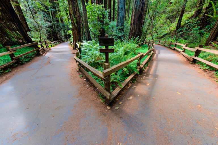 Monumento Nacional de Muir Woods