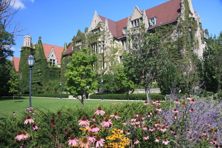 Universidad de Chicago